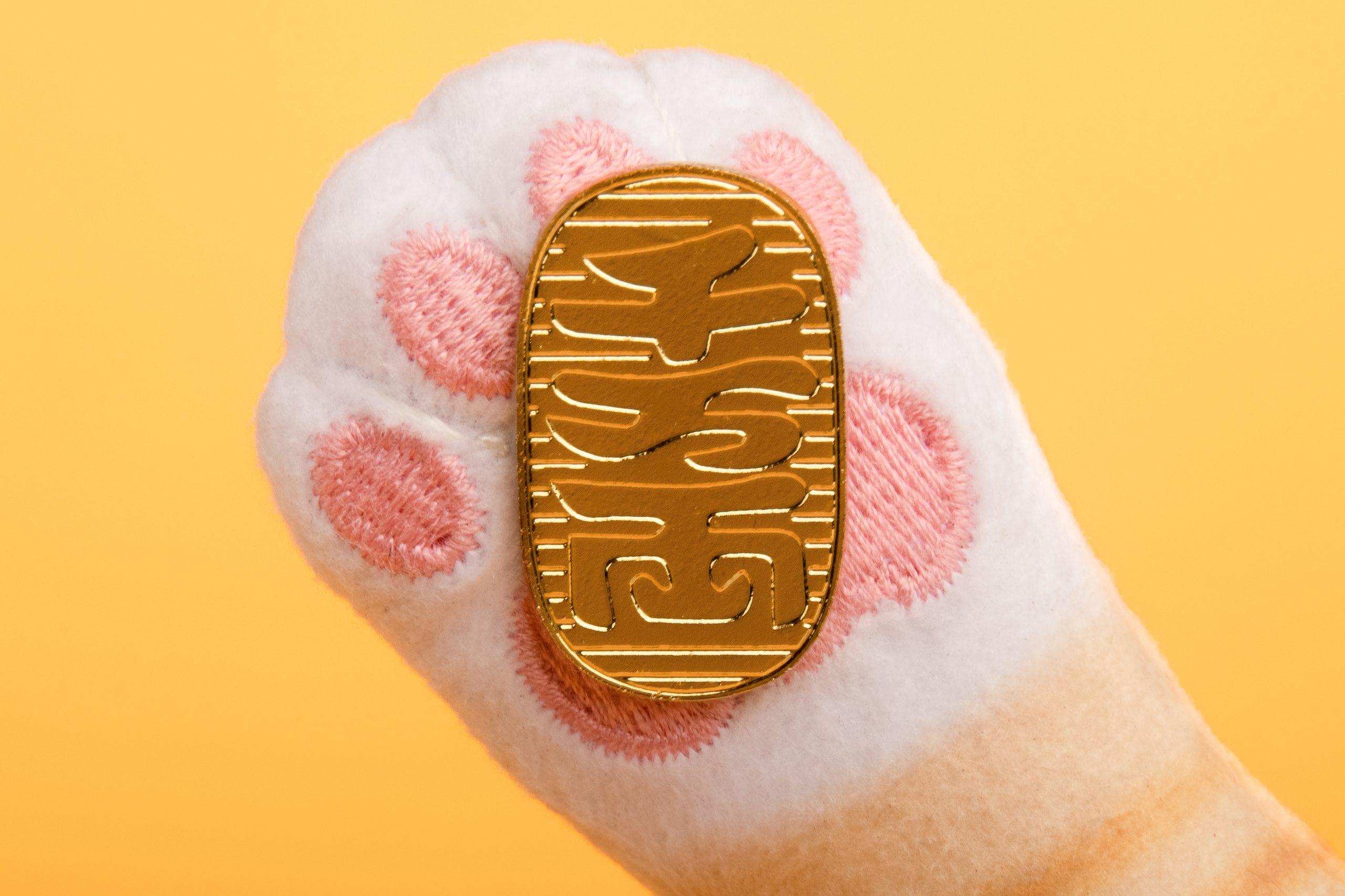 喵的第三隻手 Cat Burglar:圖片 3