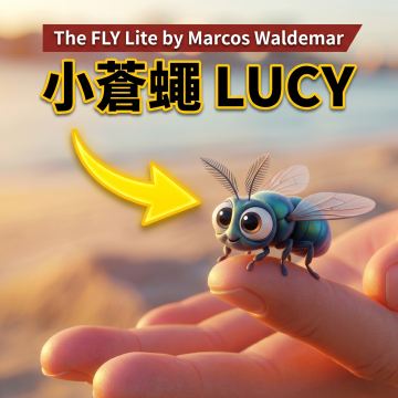 小蒼蠅 LUCY